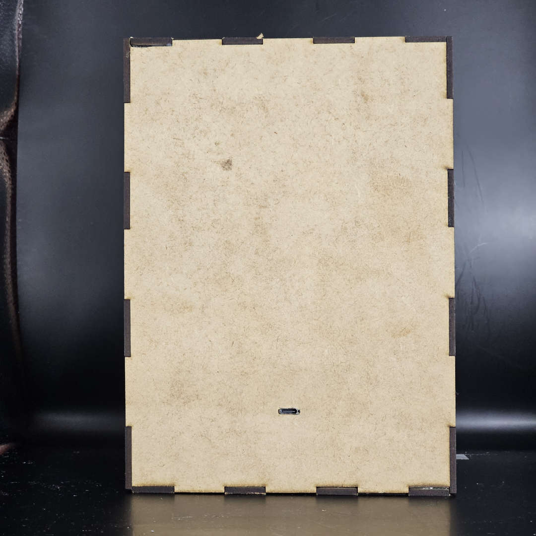 Imagen de ejemplo, caja de luz para lampara retro iluminada (Vista trasera)