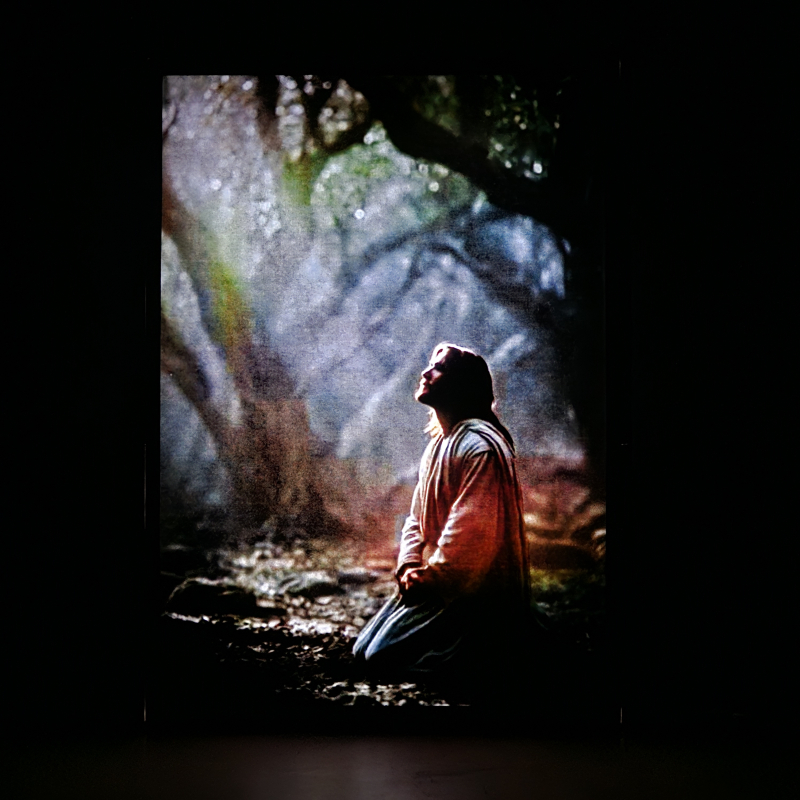 Jesús orando en Getsemaní bajo un haz de luz - Galeria
